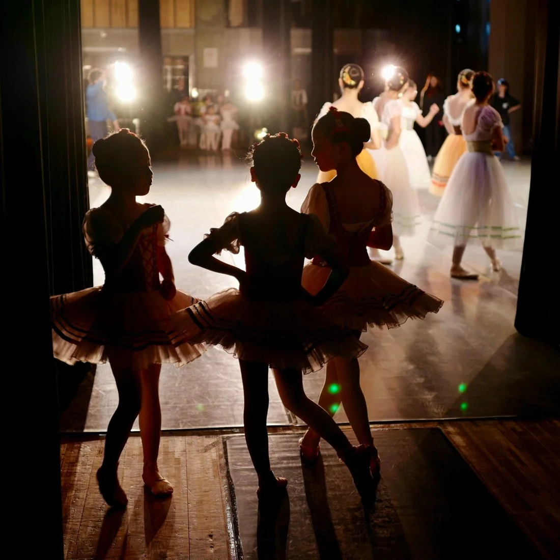 Oregon International Ballet Academy business photo